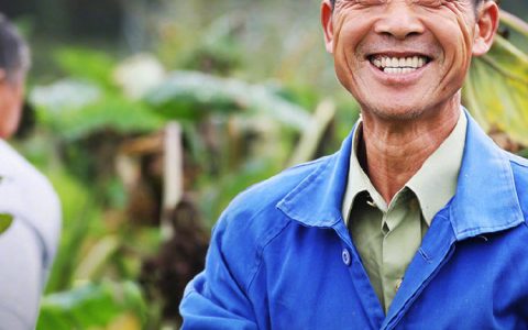 喜获这个全国大奖，拼多多的“真面目”被揭开，这下网友坐不住了