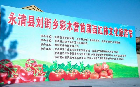 河北省永清县彩木营西红柿节成功举办