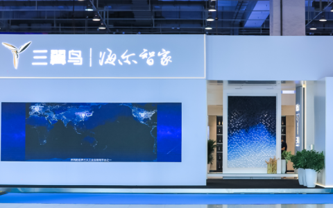 三翼鸟亮相电博会：逛展像回家