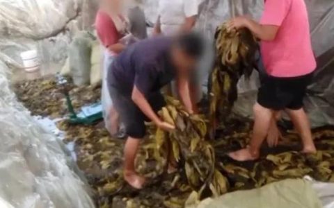 世界观：315没啥新意但却让我“记忆犹新”