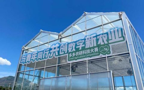 拼多多拐点已至 下一站在哪儿？