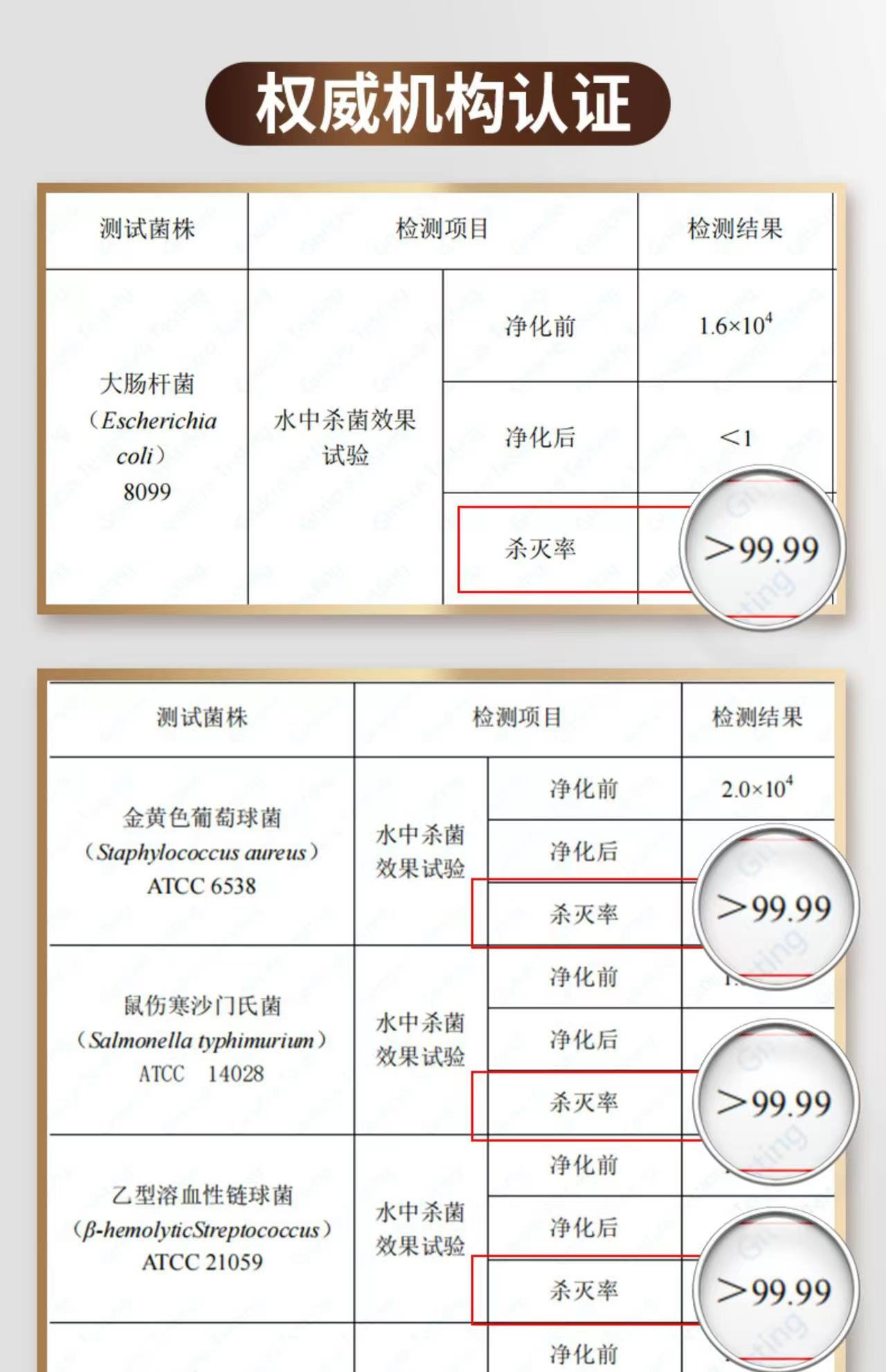 居家或野餐 必备便携式果蔬机的五个理由