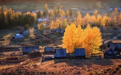 2022年预制菜规模超过4000亿 格力押注能成功吗?