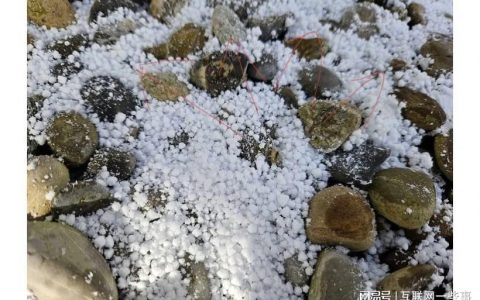 国外网友吐槽Galaxy S23和S23 Plus因硬件缺陷导致照片模糊