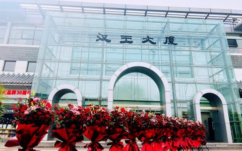 三十而立的汉王 锚定技术 穿越周期