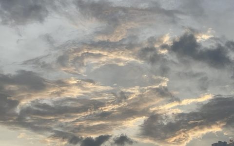 董明珠“接班人”昙花一现 凸显格力的销售困境？