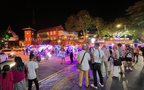 东南亚市场用户喜欢谁？TikTok压着打淘宝