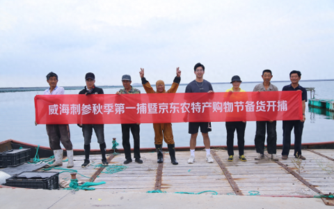 海参产区上演三国杀 威海参公开叫板辽参和福建参 要做最知名产区