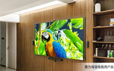 如何选择适合自己家庭的电视？海信电视U8实力担当