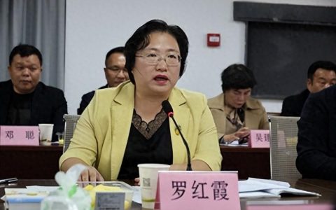 田头直播四年，“徐闻模式”改变菠萝产业