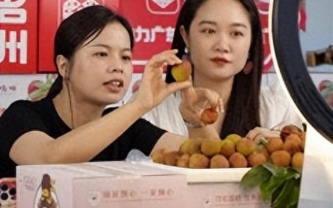 拼多多一季报：高质量发展驶入深水区 业绩数据给予正向肯定