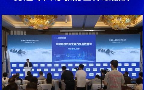 全球发力！中国新能源汽车“顶峰相见”