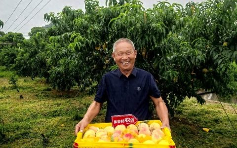 拼多多变“重”：再投百亿建设平台生态