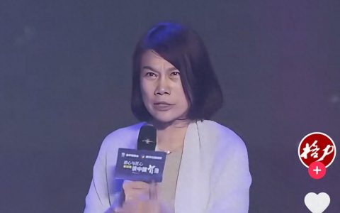 国际能源署“力挺”力挺格力空调 原来我们真错怪了董明珠