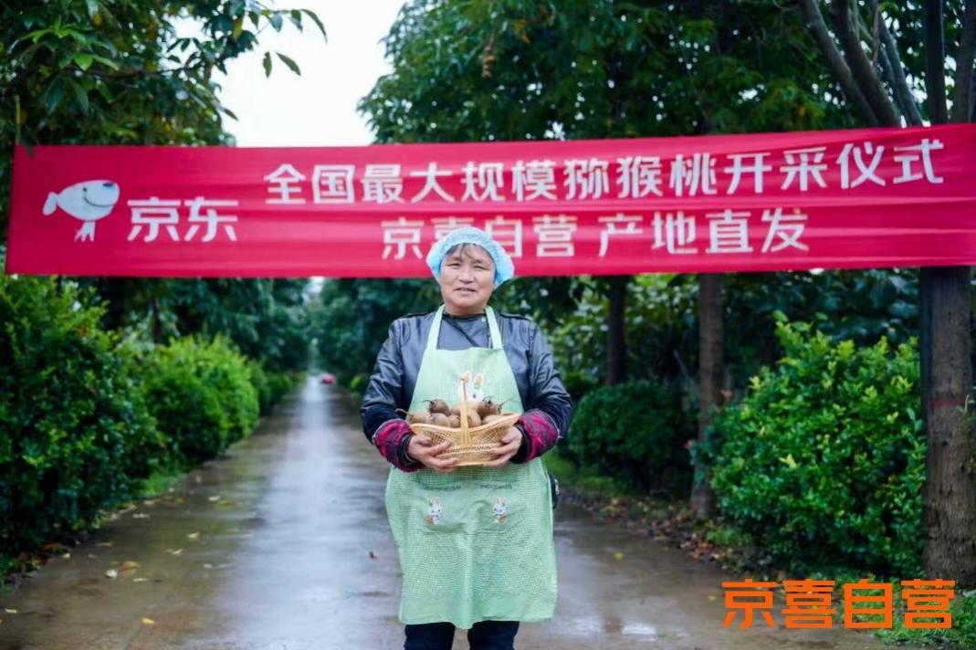 京喜自营发布两周年成绩单：一年引入新用户1.5亿 交易额增10倍