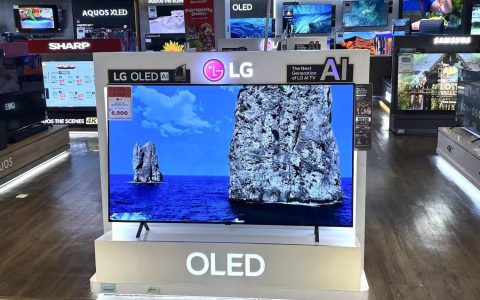 避开LCD老路：OLED赛道韩国守利润，中国争规模