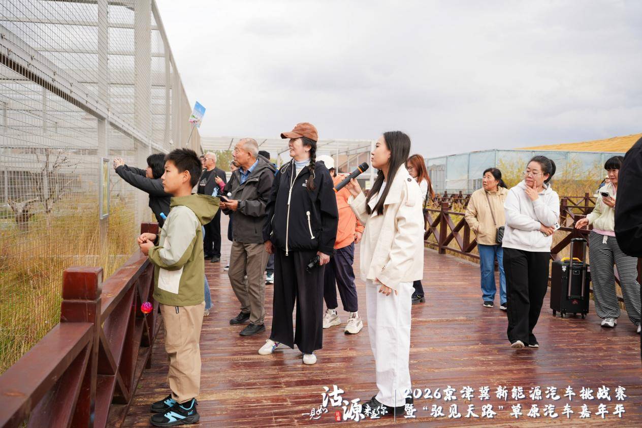 2026京津冀新能源汽车挑战赛暨“驭见天路”草原汽车嘉年华沽源启幕 打造绿色消费新场景 注入协同发展新动力