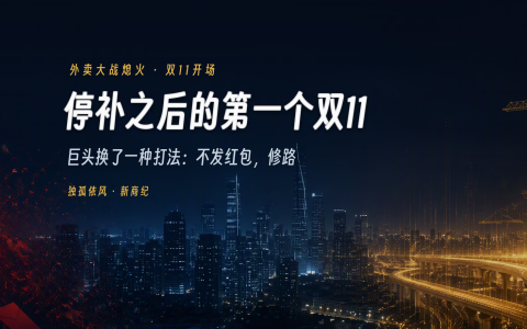停补之后的第一个双11，巨头换了一种打法